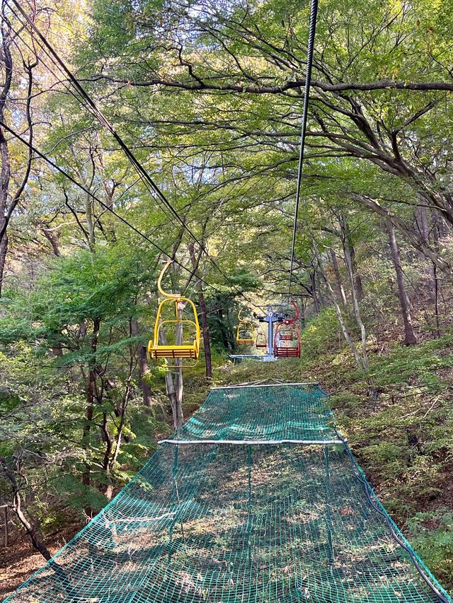 광주 숨은 국내여행지