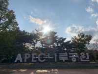 부산 수영 강변을 따라 걷기 좋은, APEC 나루공원