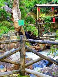 Trying The Longest Alpine Coaster In Asia🇻🇳