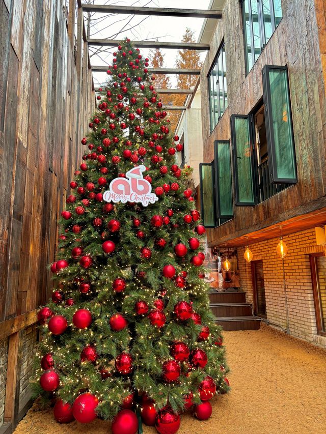 서울 강남에서 대형트리를 보고싶다면 에이비카페🎄❤️