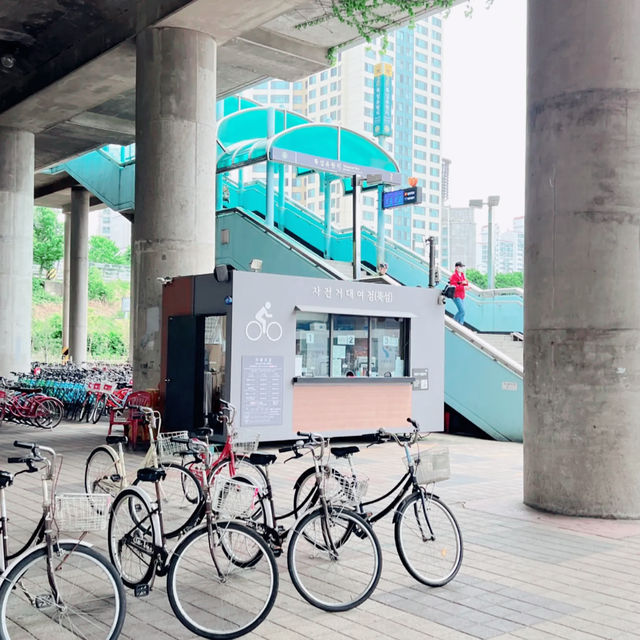 🇰🇷 Bicycle rental Ttukseom Hangang Park