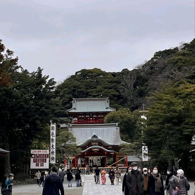 東京七天六夜自由行:輕井澤，足利花卉公園，鎌倉，東京鐵塔，淺草寺