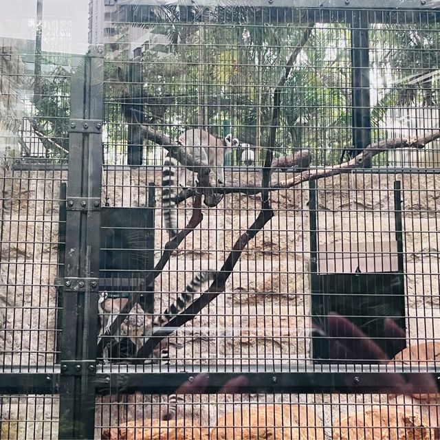 香港動植物園-給自己最美的大自然的饗宴