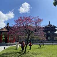 228 Peace Park สวนสาธารณะสวยกลางเมืองไทเป