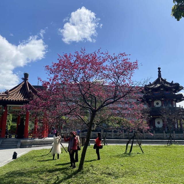 228 Peace Park สวนสาธารณะสวยกลางเมืองไทเป