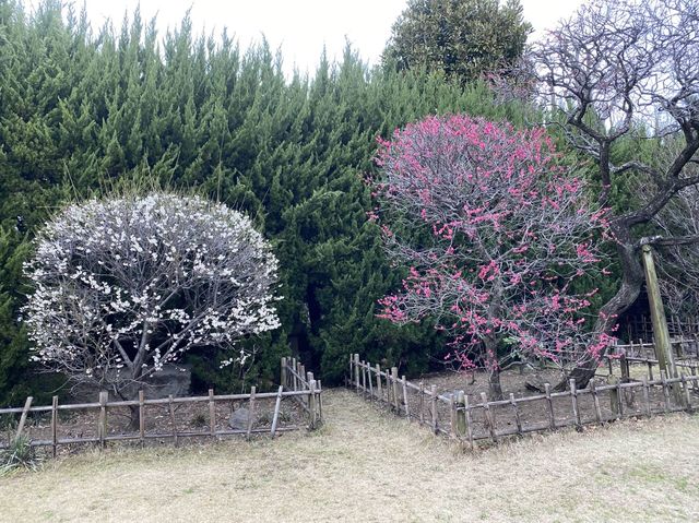 東京・世田谷。日本と東洋の古美術・国宝の展示も行われる『五島美術館』