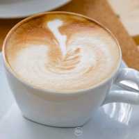 Coffee Nature 