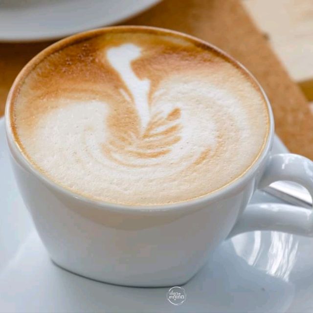 Coffee Nature 