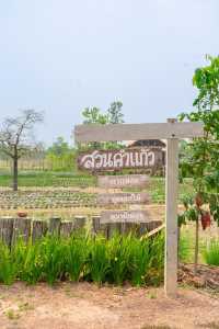 SUAN KAM KAEW