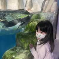 香港主題公園