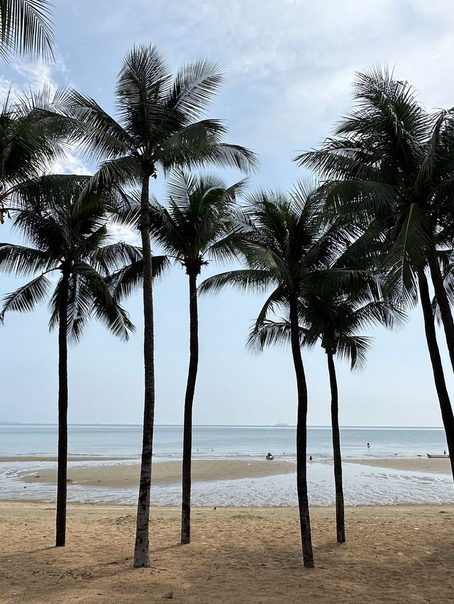 หาดจอมเทียน พัทยา 🏖️
