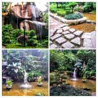 白鴿巢公園🤩奇幻園林風