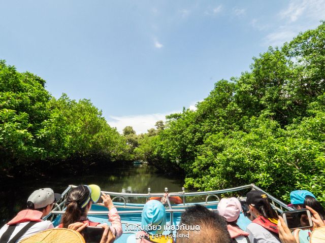 นั่งเรือชมป่าโกงกาง ไถหนาน