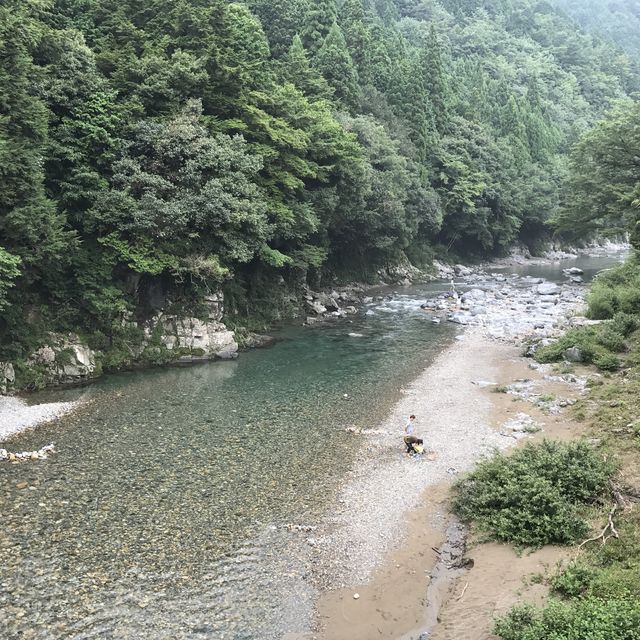 モネの池(通称)