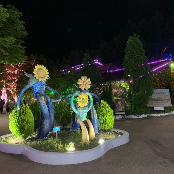LED 조명 아래 빛나는 불빛들로 가득한, 청도 프로방스 빛 축제