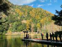 Mùa thu Kamikochi,nagano,japan