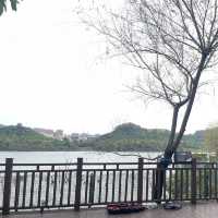 深圳景點✨最美立新湖公園