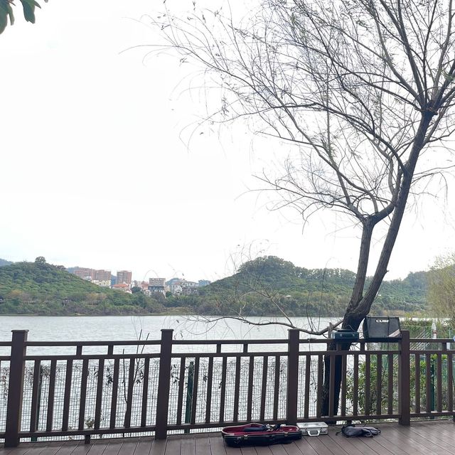 深圳景點✨最美立新湖公園