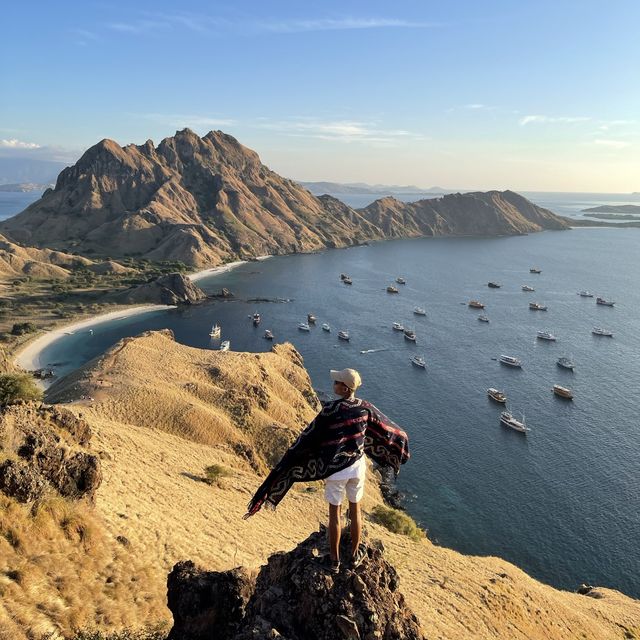 Yellow Season in Pulau Padar