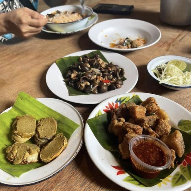 พาเด็กๆเรียนรู้ธรรมชาติ ที่ Ginger Farm เชียงใหม่