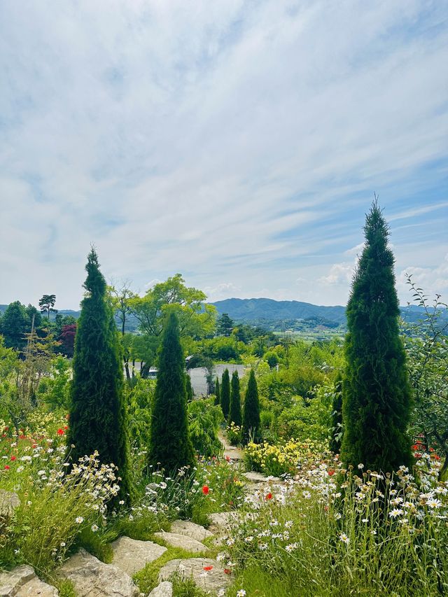 지금가면 너무 예쁜 한국의 지베르니🌱💚