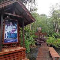 ป่าพรุผืนสุดท้าย.. ป่าพรุโต๊ะแดง​ นราธิวาส​