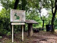 เดินป่าสำรวจอุทยานธรรมชาติ บนภูเขา🌳🏕️