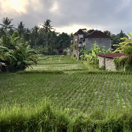 Hidden Place of Paradise in Ubud