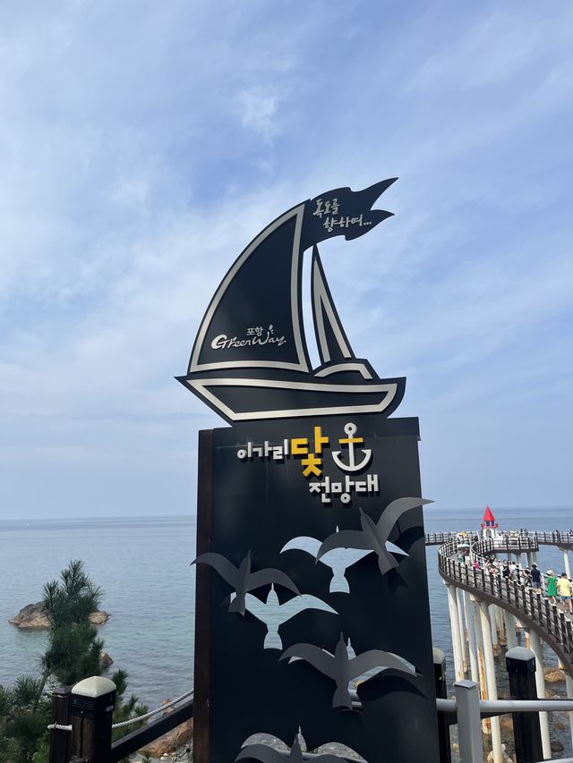 포항 전망대는 여기! 