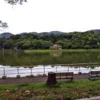 湖畔漫步🌳🏞️台北碧湖公園💎