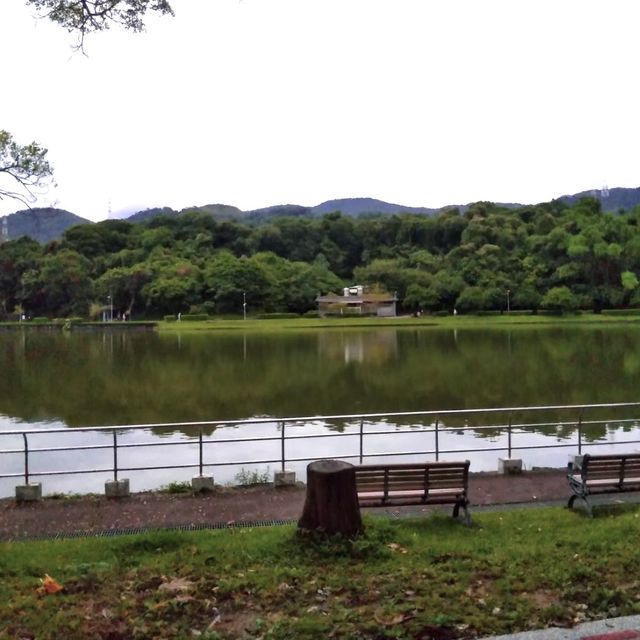 湖畔漫步🌳🏞️台北碧湖公園💎
