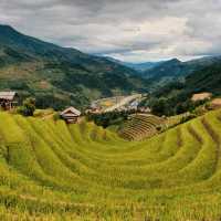 Vành Móng Ngựa Terraced Rice Fields