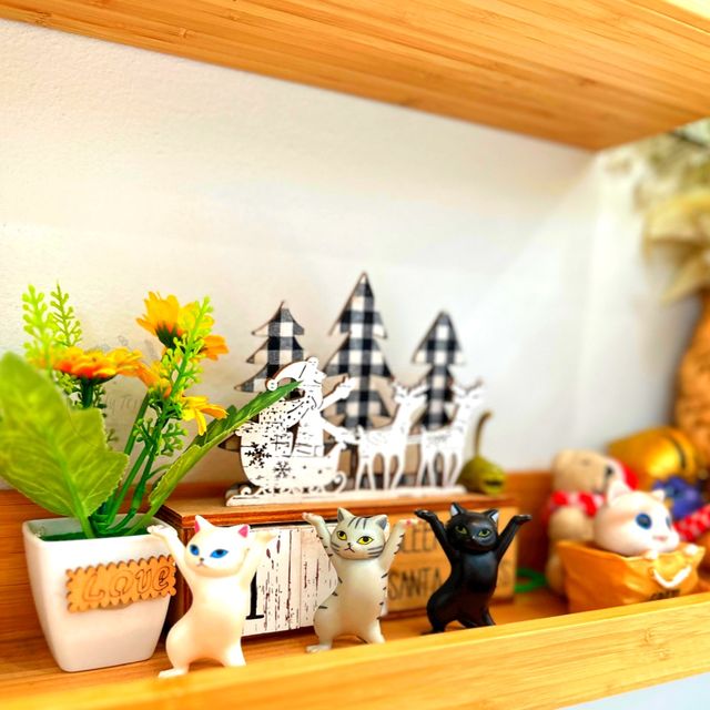 🧸Spirit Coffee ร้านลับกาแฟหมีดุ