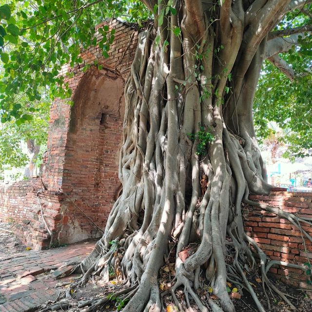 ประตูแห่งกาลเวลา วัดพระงาม