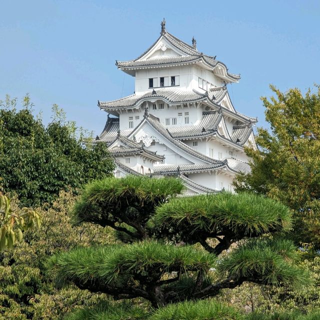 Himeji Castle tour 🏯