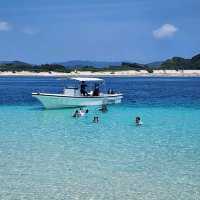 【沖縄 座間味島】ケラマブルーの海でシュノーケリング🌊🌺