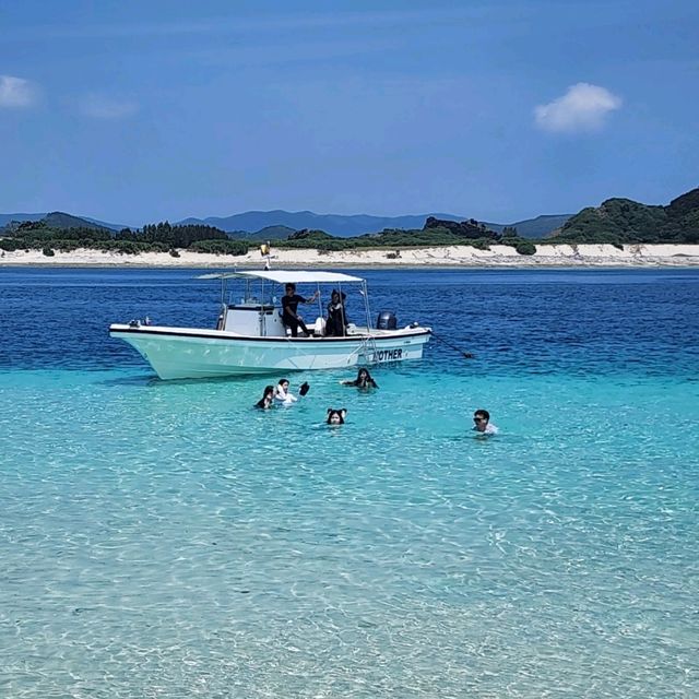 【沖縄 座間味島】ケラマブルーの海でシュノーケリング🌊🌺