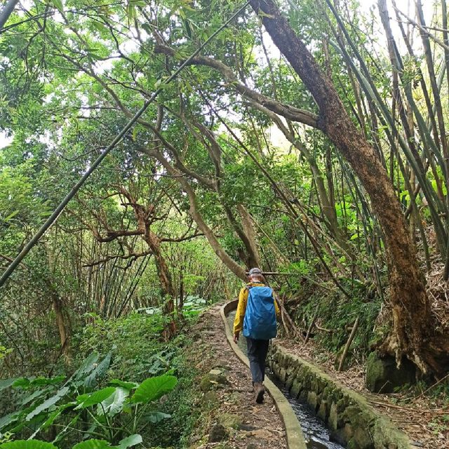 祕境溪流古道 ~ 狗慇勤古道