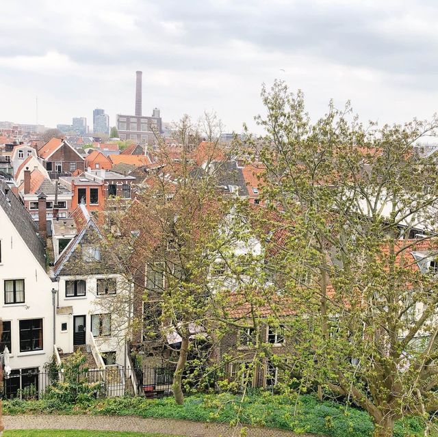 荷蘭🇳🇱萊頓🔰⚜️🔱 Burcht van Leiden 上層景觀篇