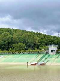大運自然公園～與水鴨共度野餐樂趣🌳🦆🧺