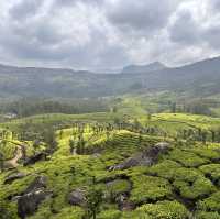 PARADISE OF KERALA