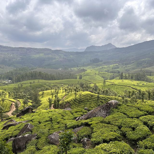 PARADISE OF KERALA