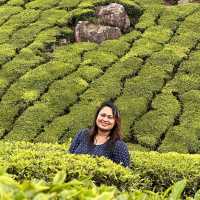 PARADISE OF KERALA