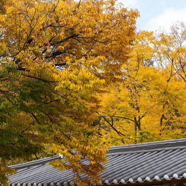Beautiful Autumn View of Korean folk Village 