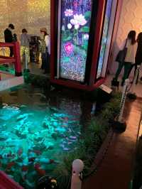 新感覚の都市型水族館☆アトア神戸