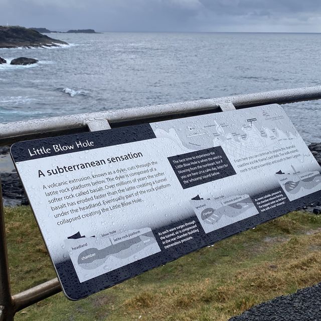 Little Blowhole, Sydney's Hidden Coastal Gem