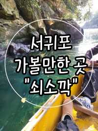 🩵서귀포 방문시 카약타기를 꼭 추천하는 "쇠소깍"🩵