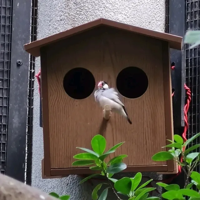 元朗公園-百鳥塔