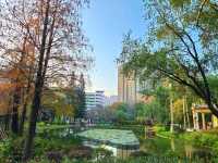 【市區看紅葉🍂~青衣公園】