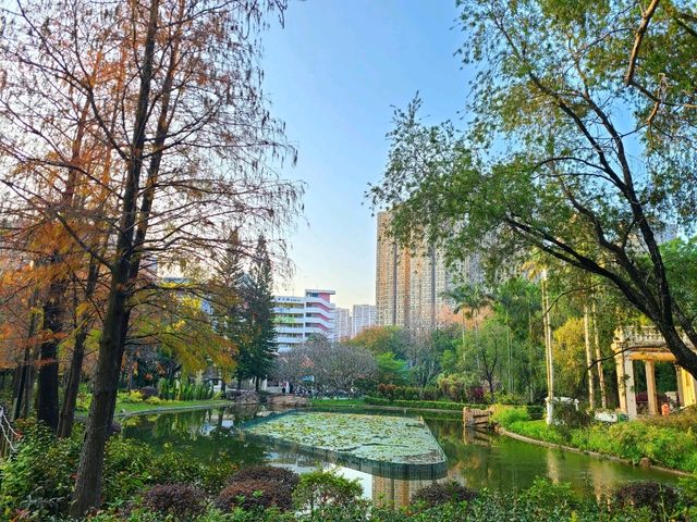 【市區看紅葉🍂~青衣公園】